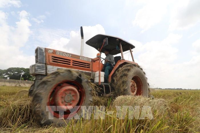 Máy cuộn rơm, thu gom rơm rạ trên đồng sau thu hoạch. Ảnh: Hồng Thái - TTXVN