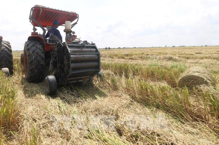 Máy cuộn rơm thu gom rơm rạ trên đồng sau thu hoạch. Ảnh: Hồng Thái - TTXVN