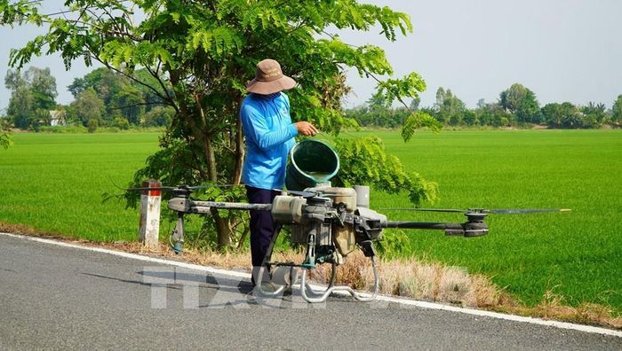 Nông dân Đồng Tháp sử dụng máy bay không người lái để phun thuốc bảo vệ thực vật cho đồng ruộng. Ảnh: Nhựt An - TTXVN