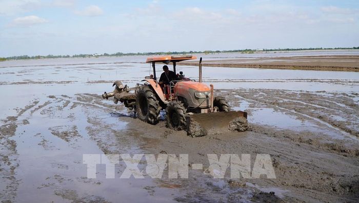 Nông dân Đồng Tháp sử dụng máy móc trong khâu làm đất để chuẩn bị gieo sạ lúa. Ảnh: Nhựt An - TTXVN
