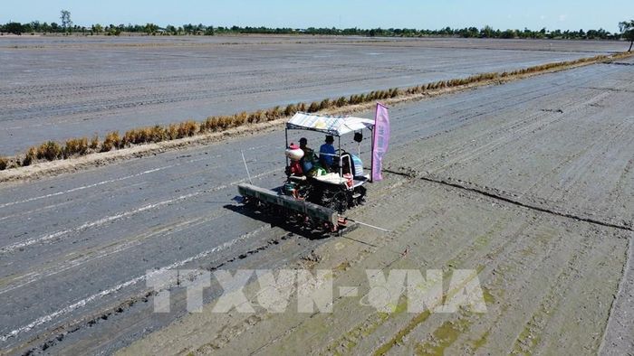 Nông dân Đồng Tháp sử dụng máy trong khâu gieo sạ lúa. Ảnh: Nhựt An - TTXVN