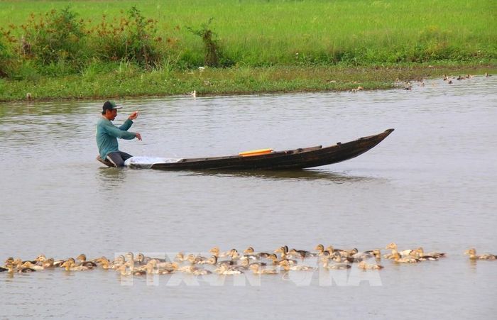 Người dân không chỉ là đối tượng chịu tác động của biến đổi khí hậu mà cần trở thành chủ thể chủ động thích ứng, tự tìm kiếm những lựa chọn mới để phát triển sinh kế. Ảnh: Duy Khương – TTXVN