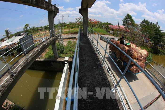 Cần Thơ sẽ chuyển mạnh từ xây dựng nền tảng sang nâng cao chất lượng triển khai, nhân rộng các mô hình hiệu quả và tăng cường sự tham gia chủ động của cộng đồng. Ảnh: Duy Khương – TTXVN