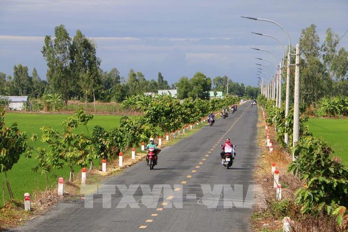 Nhân rộng các mô hình hiệu quả để thực sự trở thành động lực phát triển sinh kế bền vững và nâng cao khả năng thích ứng với biến đổi khí hậu của người dân và địa phương. Ảnh: Duy Khương – TTXVN