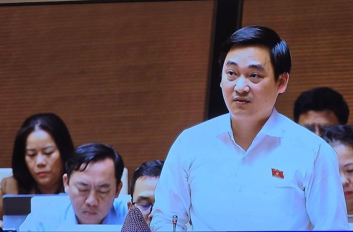 Đại biểu Đặng Anh Tuấn (Đoàn thành phố Đồng Nai). Ảnh: Bích Hồng/Bnews/vnanet.vn 