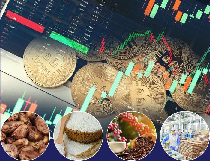 Thị trường RWA khi được vận hành hiệu quả có thể đóng góp như thế nào vào tăng trưởng kinh tế của Việt Nam?