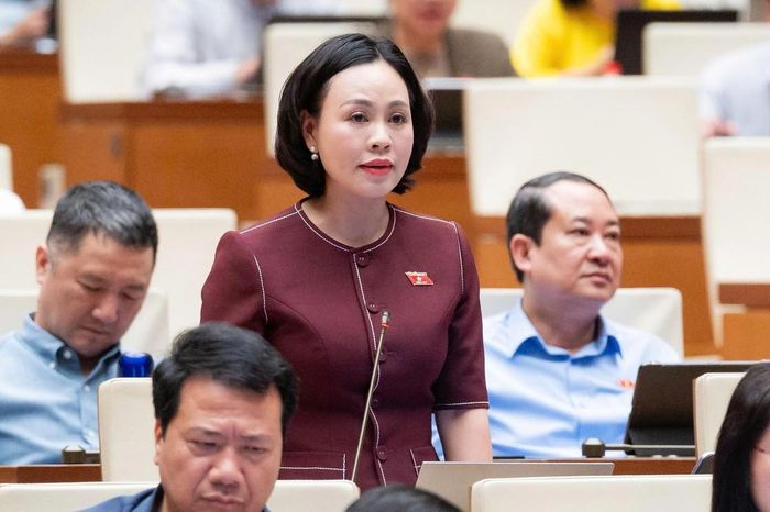 Đại biểu Trần Thị Hồng Thanh, Đoàn ĐBQH tỉnh Ninh Bình phát biểu. Ảnh: Quốc hội