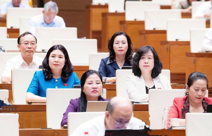  Các đại biểu tham dự phiên thảo luận sáng 12/8. 