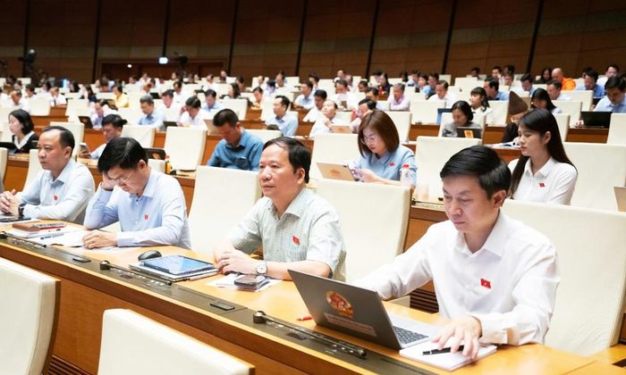  Các đại biểu tham dự phiên họp. 