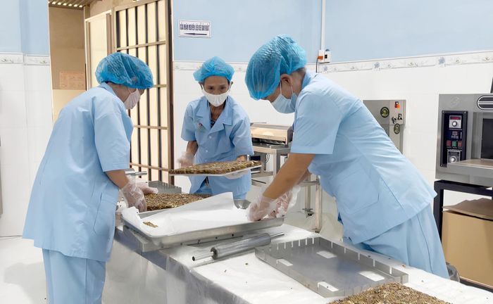 Hợp tác xã Nông nghiệp xanh Duy Oanh (Duy Xuyên) thời gian qua tận dụng các phế phẩm nông nghiệp để bón cho các loại cây đậu trong quá trình sản xuất bánh ngũ cốc. Ảnh: PHAN VINH