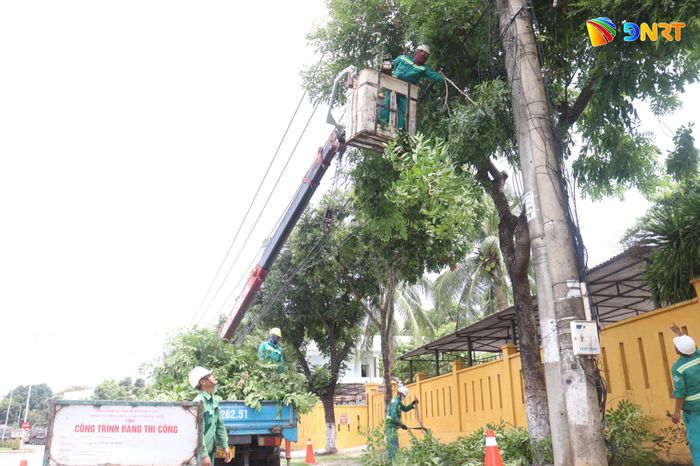 Công tác cắt tỉa cành, nhánh, tán lá của hệ thống cây xanh đô thị dọc các tuyến đường ven biển, sông, khu vực xung yếu đang được Công ty Công viên - Cây xanh Đà Nẵng tập trung thực hiện. Ảnh: HOÀNG HIỆP