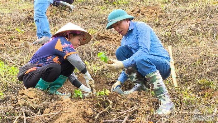 Cán bộ xã Mường Mùn hướng dẫn người dân kỹ thuật trồng cà phê.