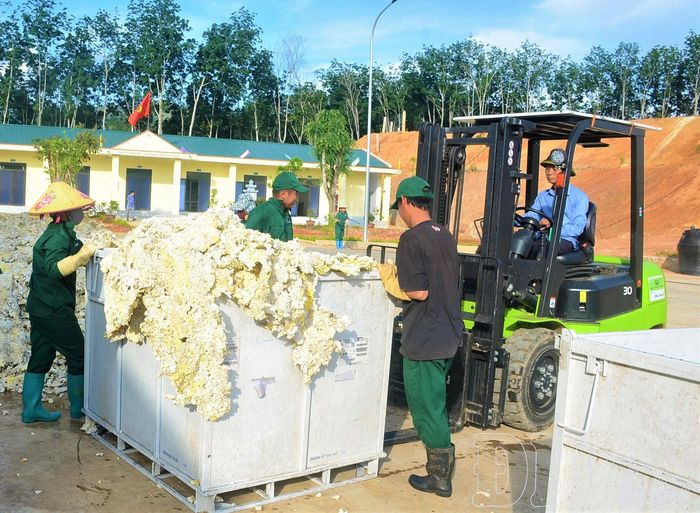 Nhà máy Chế biến mủ cao su Điện Biên hiện có 32 công nhân, nhân viên thường xuyên.