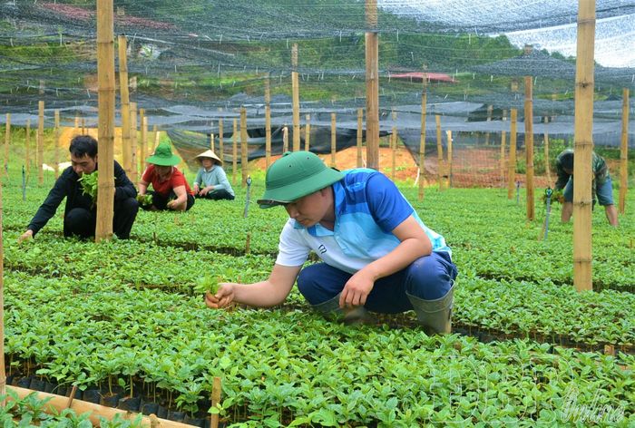Anh Phan Văn Tuấn trở lại với công việc sau thời gian điều trị và hồi phục sức khỏe sau tai nạn.