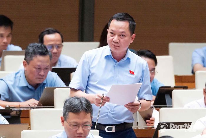 Đại biểu Trịnh Xuân An (Đoàn Đại biểu Quốc hội thành phố Đồng Nai) phát biểu thảo luận tại phiên họp. Ảnh: CTV