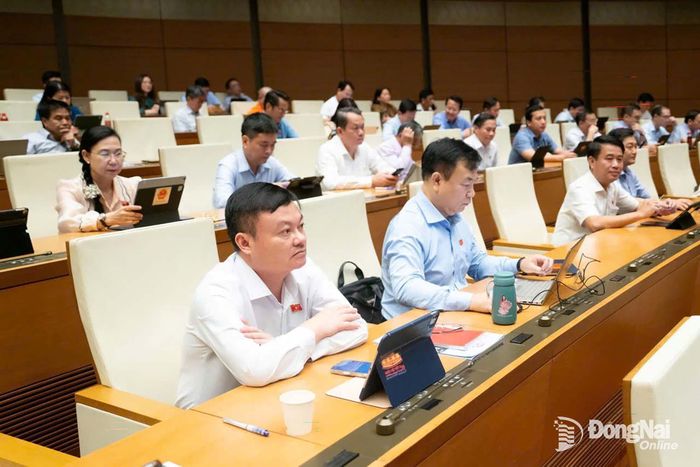 Các đại biểu Đoàn Đại biểu Quốc hội thành phố Đồng Nai tham dự phiên họp chiều 12-8. Ảnh: CTV