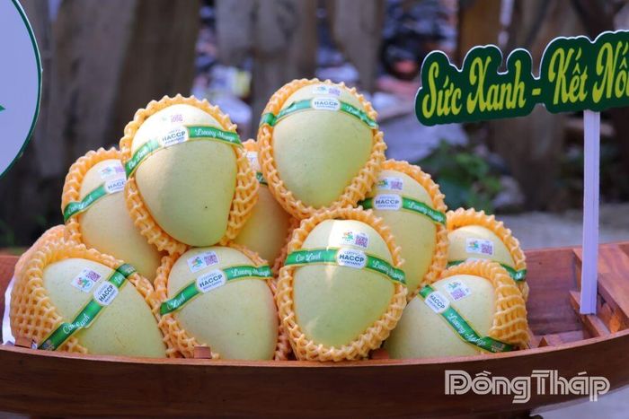 Xoài được chuẩn hóa về chất lượng, bao bì và truy xuất nguồn gốc, góp phần nâng cao giá trị và sức cạnh tranh của sản phẩm trên thị trường.