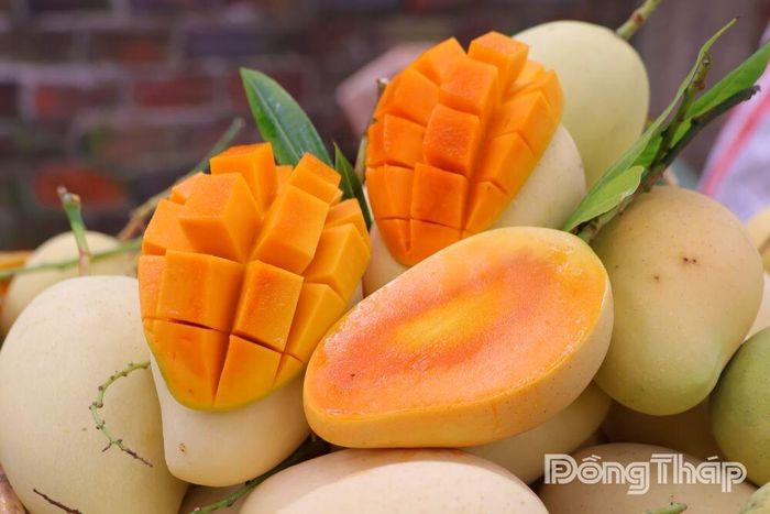 Xoài Mỹ Thọ được người tiêu dùng đánh giá cao nhờ chất lượng, hương vị đặc trưng của vùng chuyên canh lâu năm.