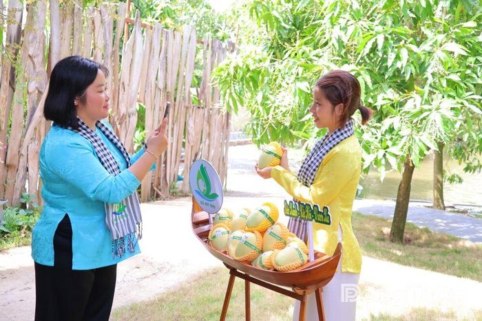 Đưa hình ảnh, câu chuyện trái xoài lên nền tảng số là cách người trẻ xã Mỹ Thọ hỗ trợ nhà vườn quảng bá sản phẩm, tiếp cận gần hơn với người tiêu dùng.