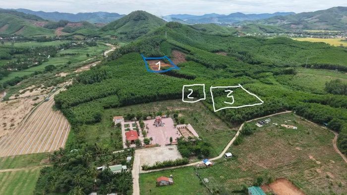  Toàn cảnh khu vực đồi Xuân Sơn: (1) vị trí đang tìm kiếm; (2) vị trí nghi hố chôn; (3) khu vực bãi đáp. Ảnh: Đức Dũng 