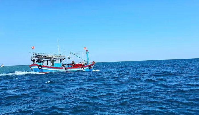 Ngư dân không sử dụng sơ đồ hoạt động nghề cá năm 2015 để xác định vùng biển khai thác. Ảnh: PHAN TUẤN