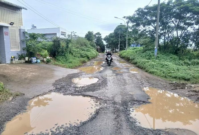 Mặt đường Nguyễn Bá Ngọc xuất hiện nhiều hố sâu vào mùa mưa. Ảnh: T.D