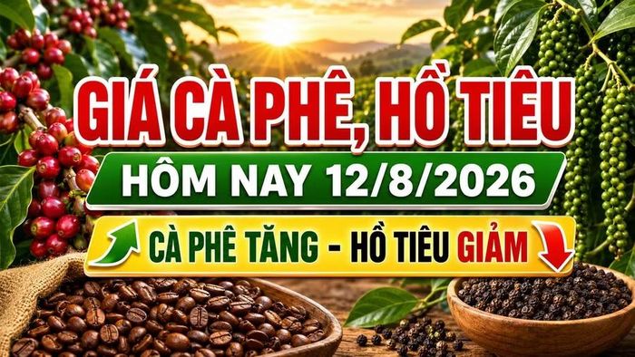 Hình minh họa (AI)