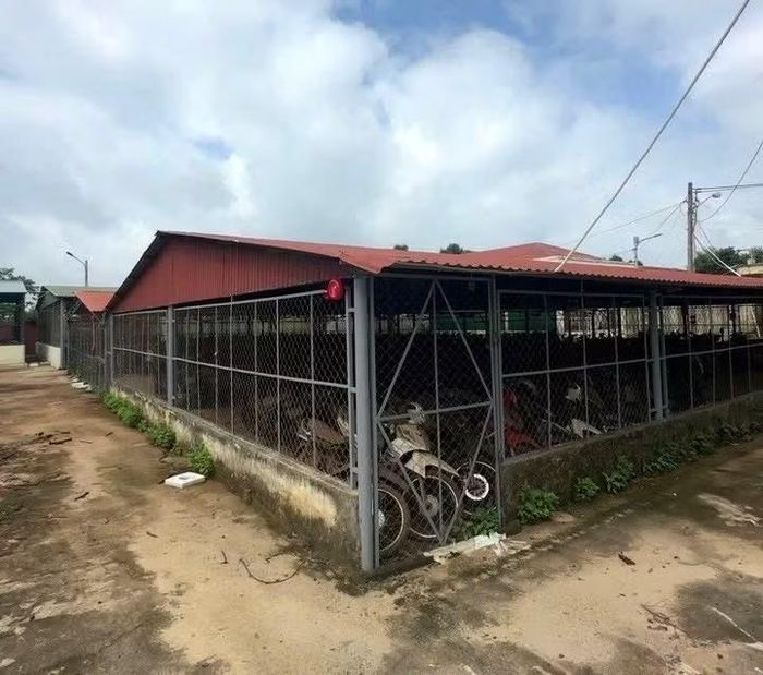Gần 500 phương tiện bị lực lượng CSGT (Công an tỉnh Gia Lai) tạm giữ nhưng bỏ xe, không nộp phạt. Ảnh: Duy Hải