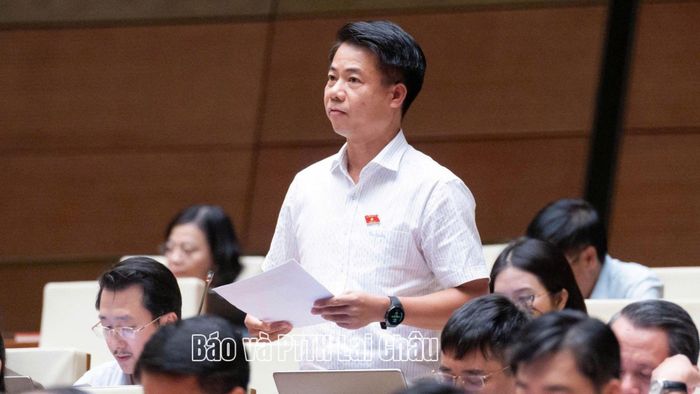 Đại biểu Hoàng Quốc Khánh - Phó Trưởng Đoàn chuyên trách Đoàn ĐBQH tỉnh Lai Châu tham gia phát biểu thảo luận tại hội trường.