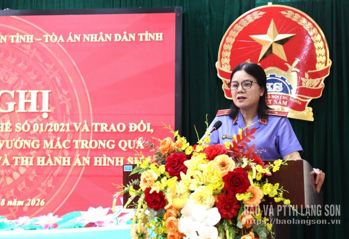 Lãnh đạo Viện KSND tỉnh phát biểu kết luận hội nghị 