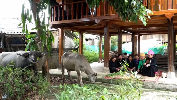 Nghi lễ cúng vía trâu thể hiện sự trân trọng đối với con vật gắn bó với đời sống và lao động sản xuất của đồng bào Thái.