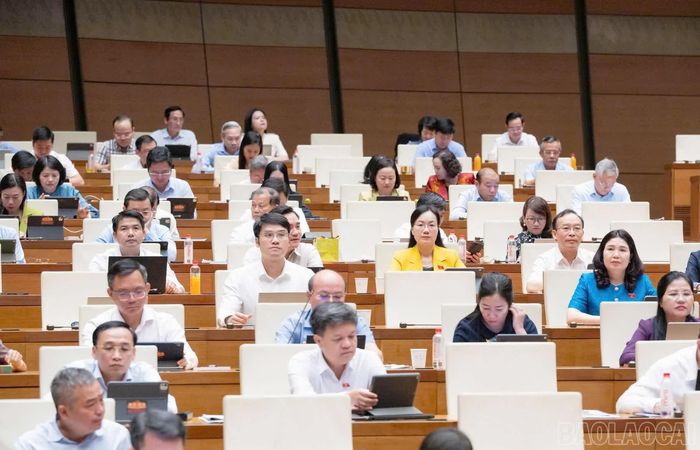 Đại biểu tại phiên họp.