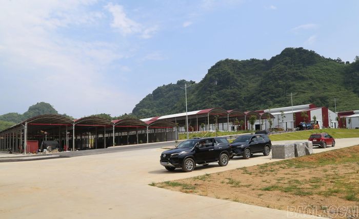 Khu sản xuất nhà máy sản xuất, chế biến quế hữu cơ Bảo Thắng.
