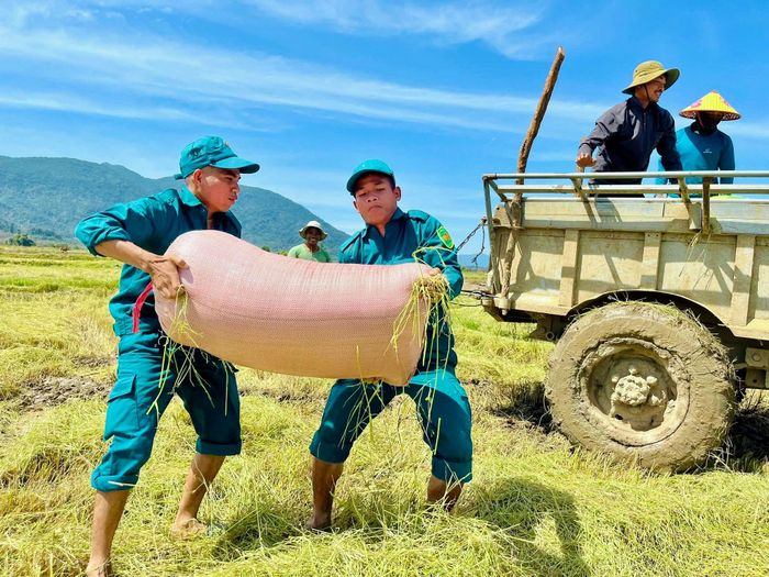 Ban Chỉ huy Quân sự xã Đông Giang giúp dân thu hoạch lúa vận chuyển nông sản