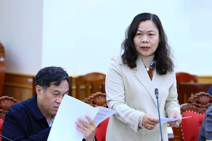 Tỉnh ủy viên, Phó Chủ tịch HĐND tỉnh, Trưởng Ban Văn hóa - Xã hội HĐND tỉnh Lâm Đồng Nguyễn Thị Thuận Bích báo cáo rà soát các nội dung thuộc thẩm quyền