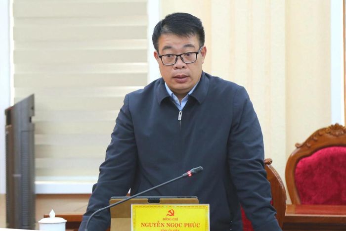 Tỉnh ủy viên, Phó Chủ tịch UBND tỉnh Nguyễn Ngọc Phúc báo cáo kết quả thực hiện các nội dung thuộc thẩm quyền UBND tỉnh