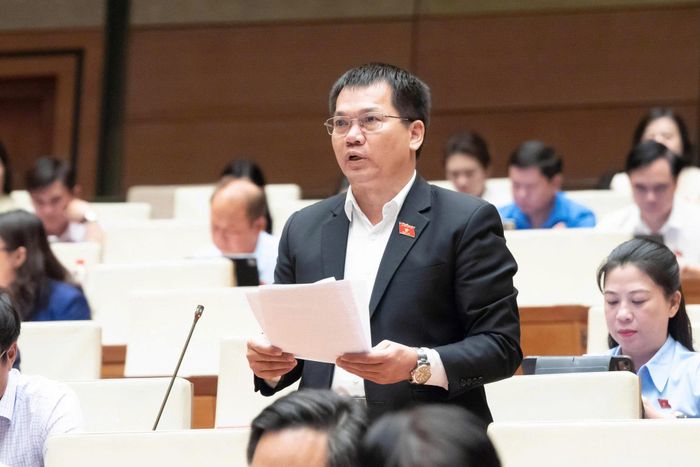 Đại biểu Dương Khắc Mai, Phó Trưởng Đoàn ĐBQH tỉnh Lâm Đồng phát biểu tại phiên thảo luận