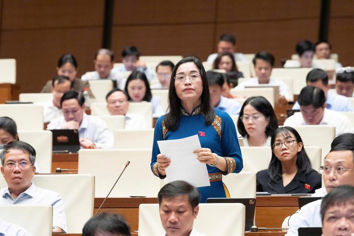 Đại biểu Cil Bri, Đoàn ĐBQH tỉnh Lâm Đồng nêu ý kiến tại phiên thảo luận