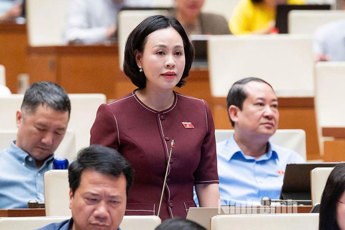 Đại biểu Trần Thị Hồng Thanh, Tỉnh ủy viên, Phó Trưởng Đoàn ĐBQH chuyên trách tỉnh Ninh Bình phát biểu tại hội trường.