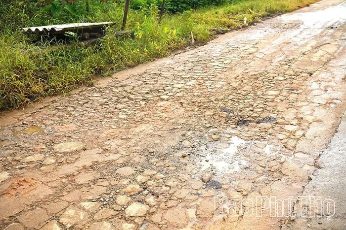 Mặt đường xuống cấp nghiêm trọng, xuất hiện nhiều vị trí bong tróc, hư hỏng.