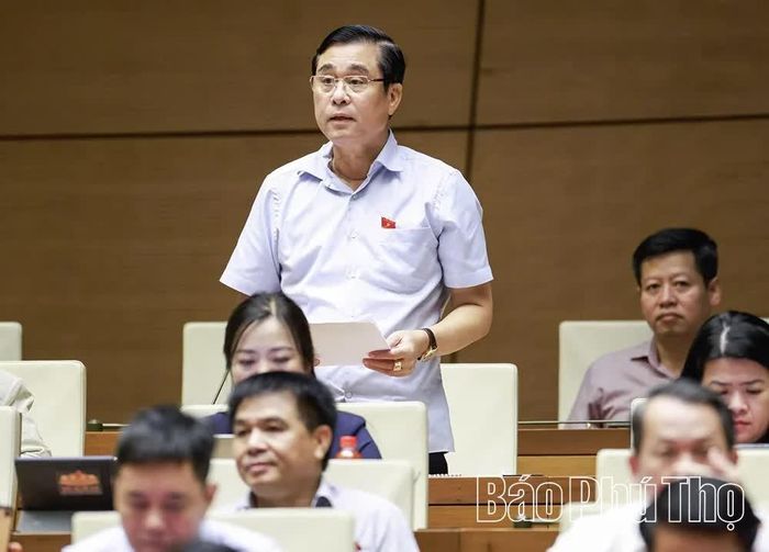 Đại biểu Quốc hội tỉnh Phú Thọ Nguyễn Cao Sơn thảo luận ở hội trường.