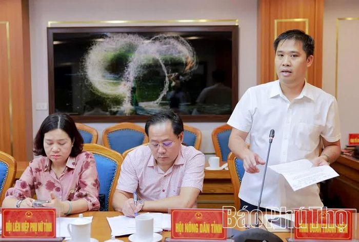Lãnh đạo Tỉnh đoàn Thanh niên phát biểu tại hội nghị.