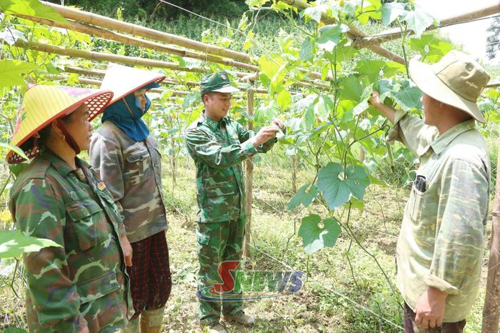 Cán bộ Đồn Biên phòng Chiềng Tương hướng dẫn kỹ thuật chăm sóc bí xanh cho nhân dân bản Đin Chí, xã Lóng Phiêng.