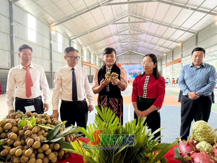 Các đại biểu tham quan gian hàng tại Ngày hội Toàn dân bảo vệ ANTQ năm 2026 xã Lóng Phiêng.