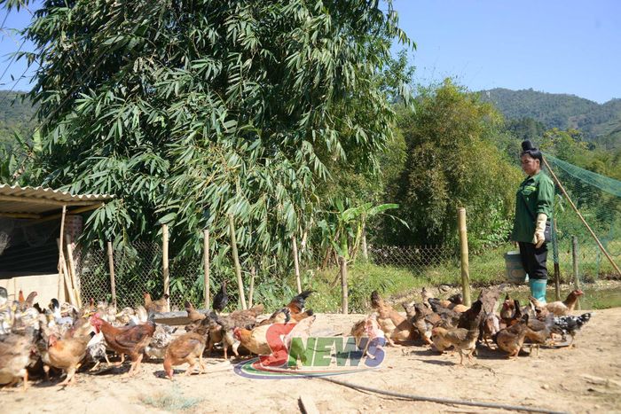 Mô hình chăn nuôi gia cầm của người dân xã Mường É.