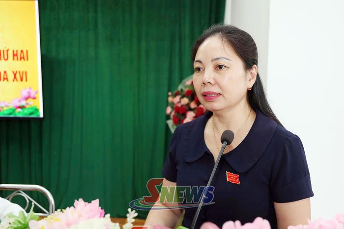 Thành viên tổ đại biểu HĐND tỉnh thông tin kết quả Kỳ họp thứ hai.