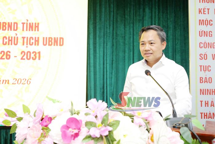 Đồng chí Nguyễn Đình Việt, Phó Bí thư Tỉnh ủy, Chủ tịch UBND tỉnh phát biểu tại hội nghị.