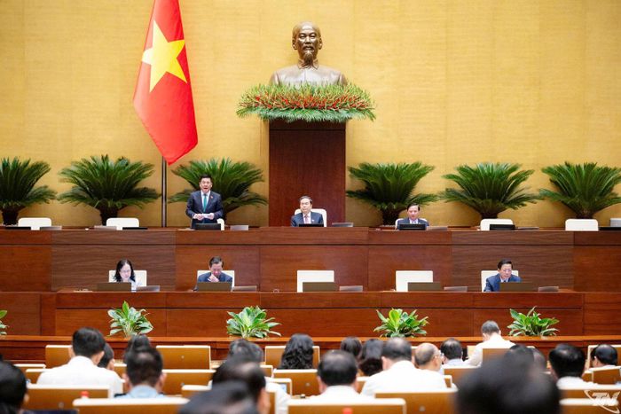Phó Chủ tịch Quốc hội Nguyễn Hồng Diên điều hành thảo luận.