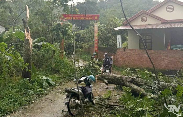 Dông lốc khiến một cây gãy đổ tại đường nội thôn Đồng Tiến