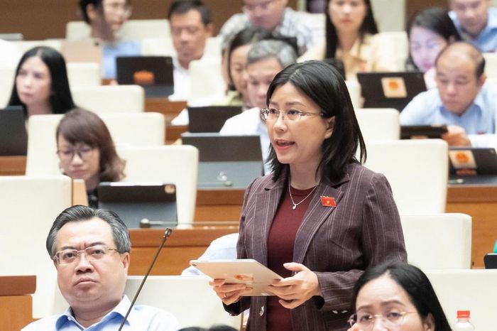 Đại biểu Lê Đào An Xuân (đoàn Đắk Lắk) phát biểu.